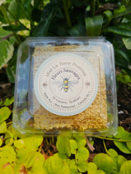 Rayon de miel « La Terre Promise » - 300 g